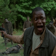 Image for article titled ‘T-Dogging’ Through The Walking Dead Season 5 Finale